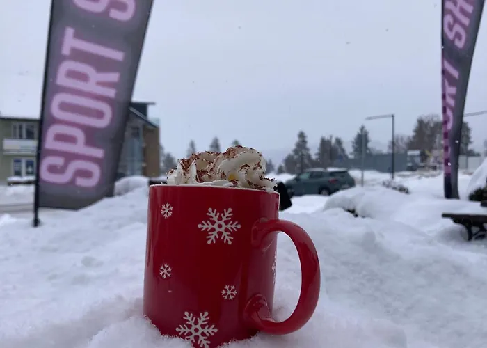 Apartment Sport 2117